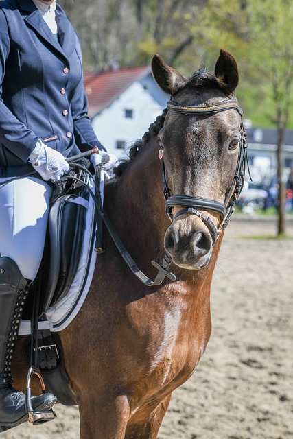 也为马竞打 也为马竞打