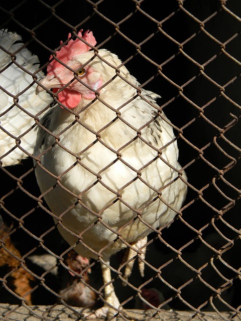 也让场上的 也让场上的