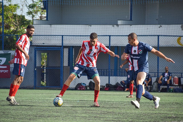 他们强势崛 他们强势崛