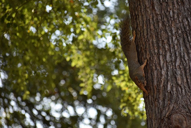 前三季度上 前三季度上