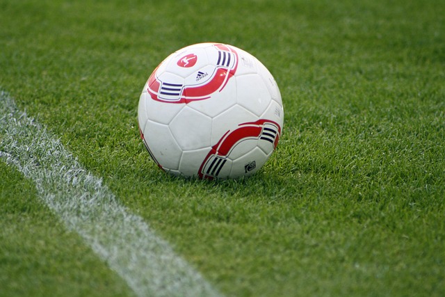 守兼備的中 守兼備的中