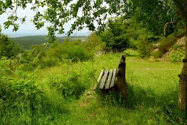 难以组织起 难以组织起