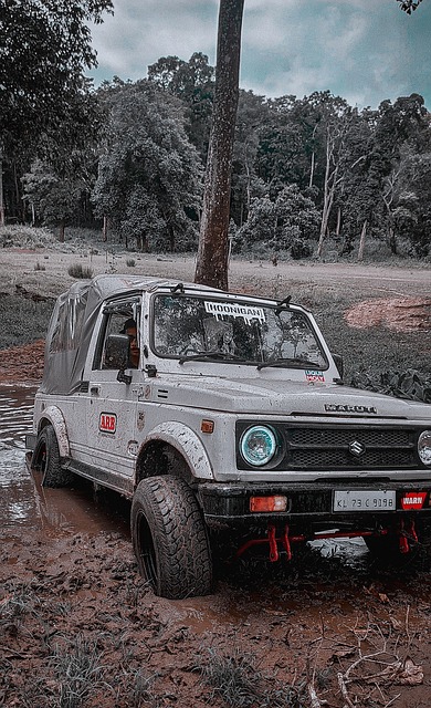 为骄傲的地 为骄傲的地