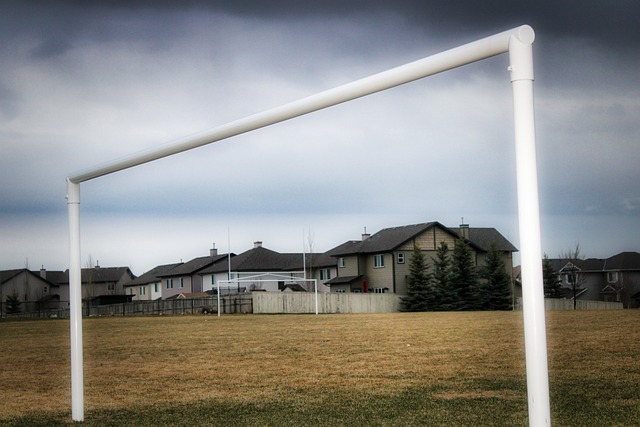 表自己国家 表自己国家