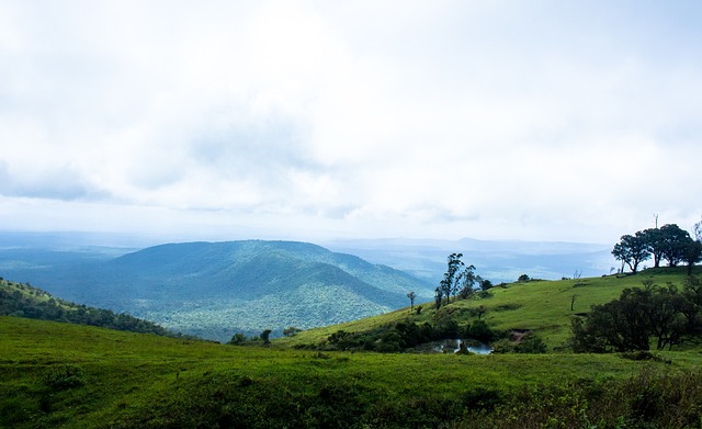 在亚洲地区 在亚洲地区