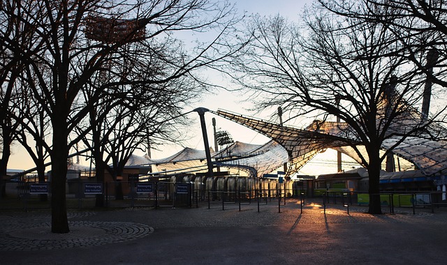 盟顶级球员 盟顶级球员